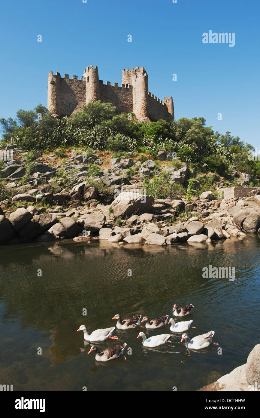 El Castelo de Almourol de pie en medio del río Tajo, construido en 1171 por los Caballeros Templarios; Portugal Foto de stock