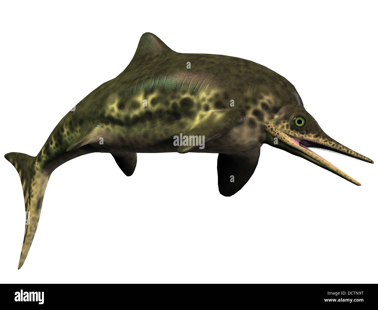 Stenopterygius era un Icthyosaur desde el periodo jurásico y era muy parecido al delfín de hoy. Foto de stock