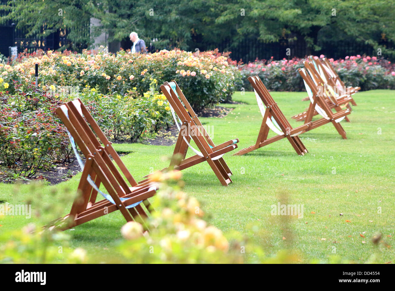 Tumbonas en una línea en el verano en Regents Park, Londres, Reino Unido. Foto de stock