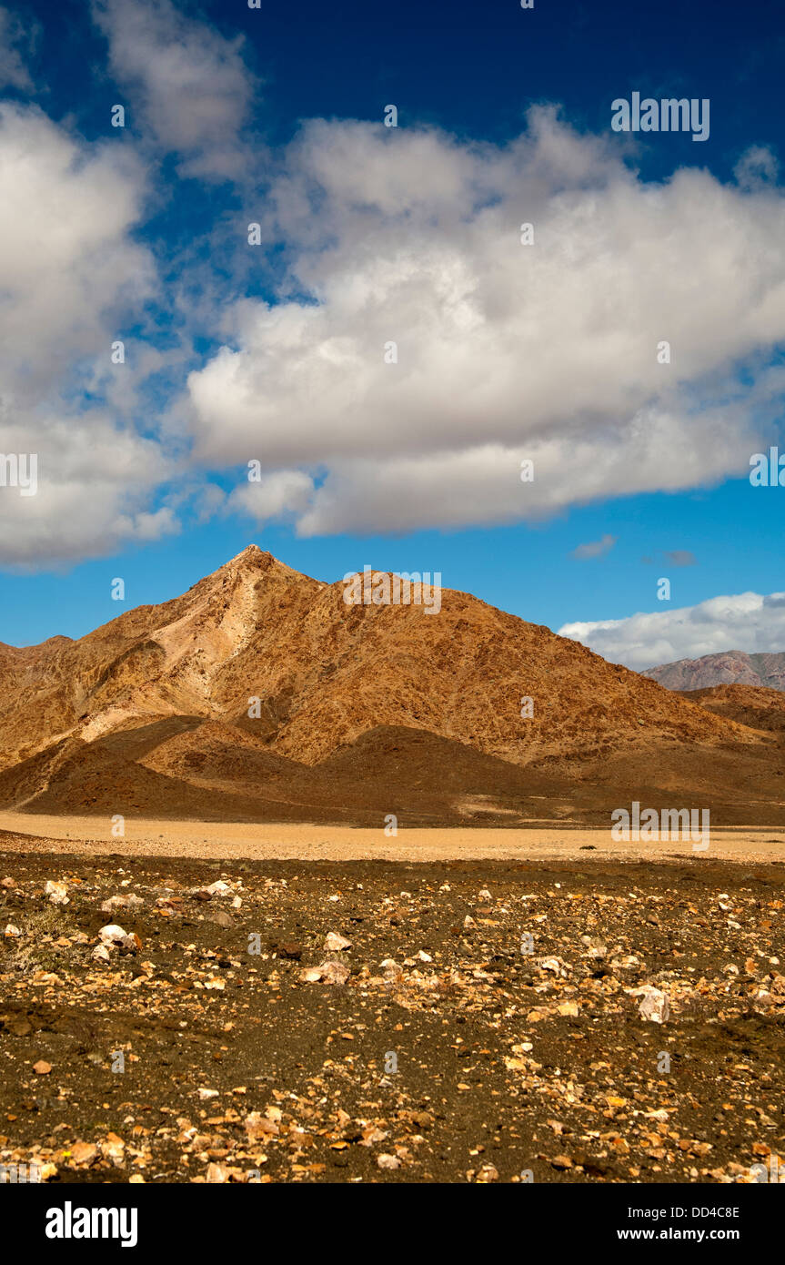 Desértico paisaje salvaje en el Richtersveld, Ai-Ais Richtersveld Parque Transfronterizo, Northern Cape, Sudáfrica Foto de stock