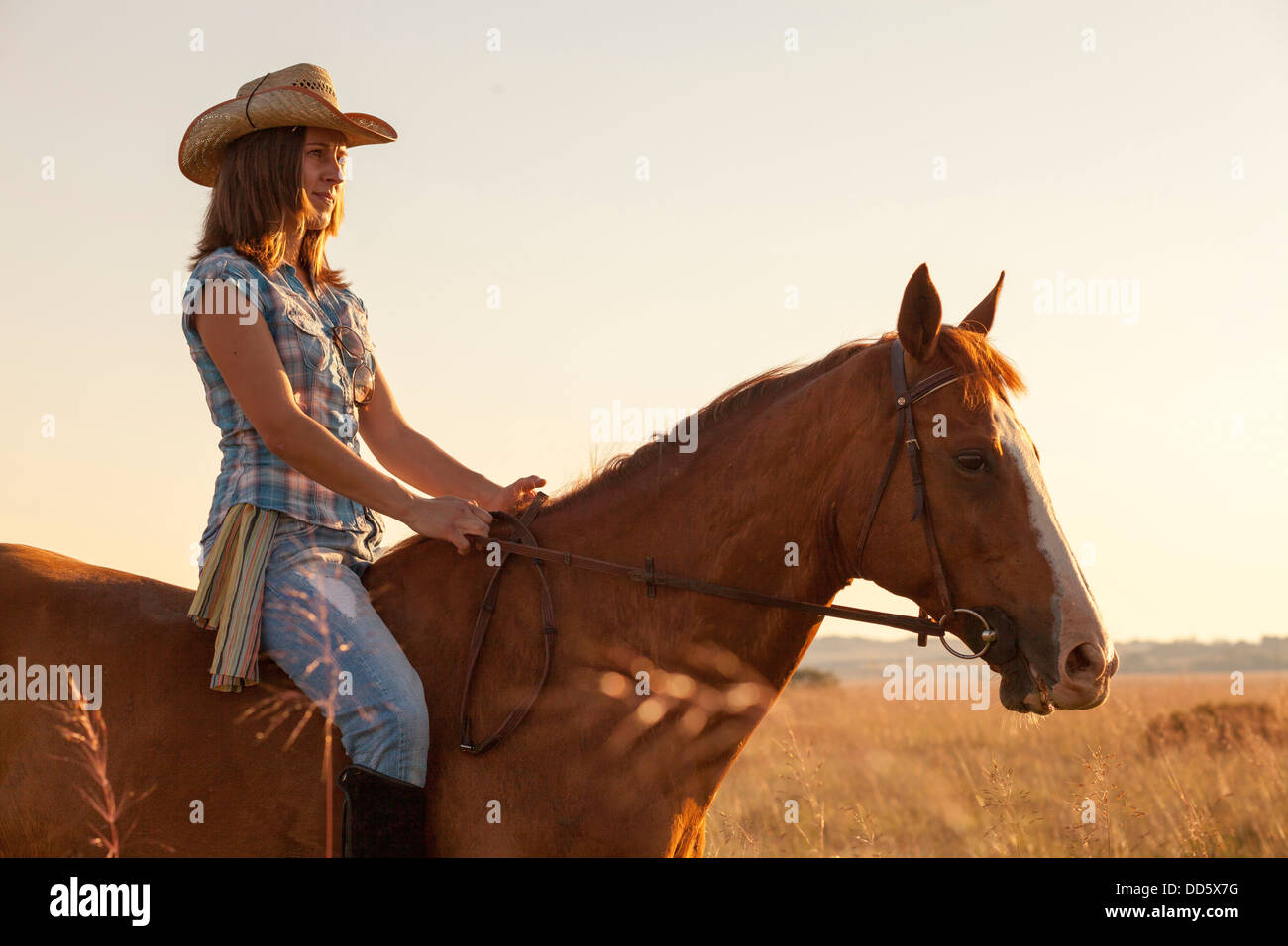 Croacia, Dalmacia, joven cabalgatas Foto de stock