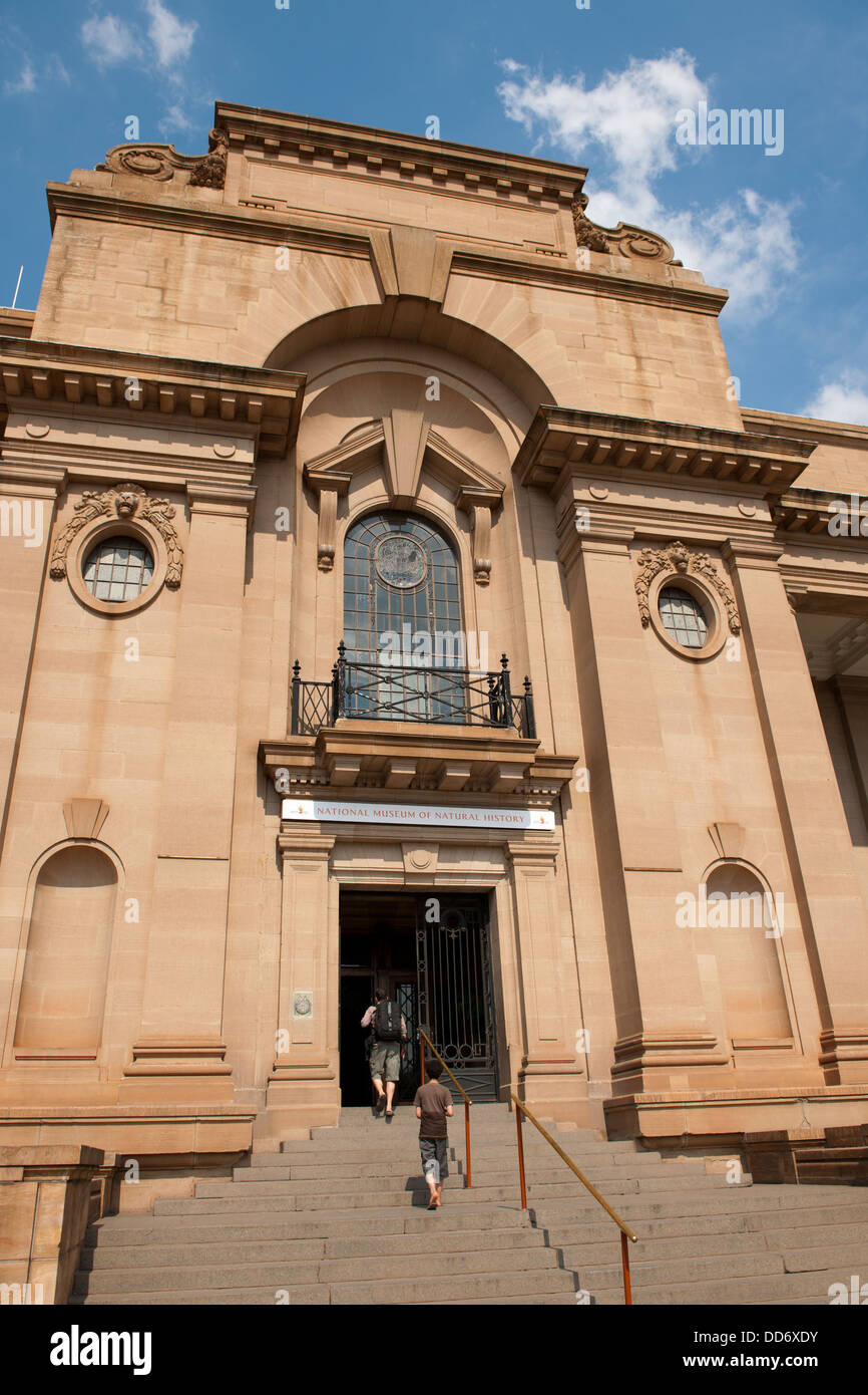 El Museo Nacional de Historia Natural, Pretoria, Sudáfrica Foto de stock