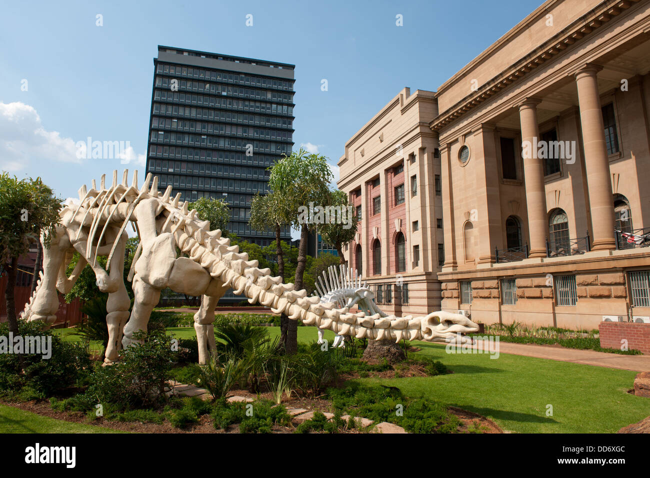 El Museo Nacional de Historia Natural, Pretoria, Sudáfrica Foto de stock