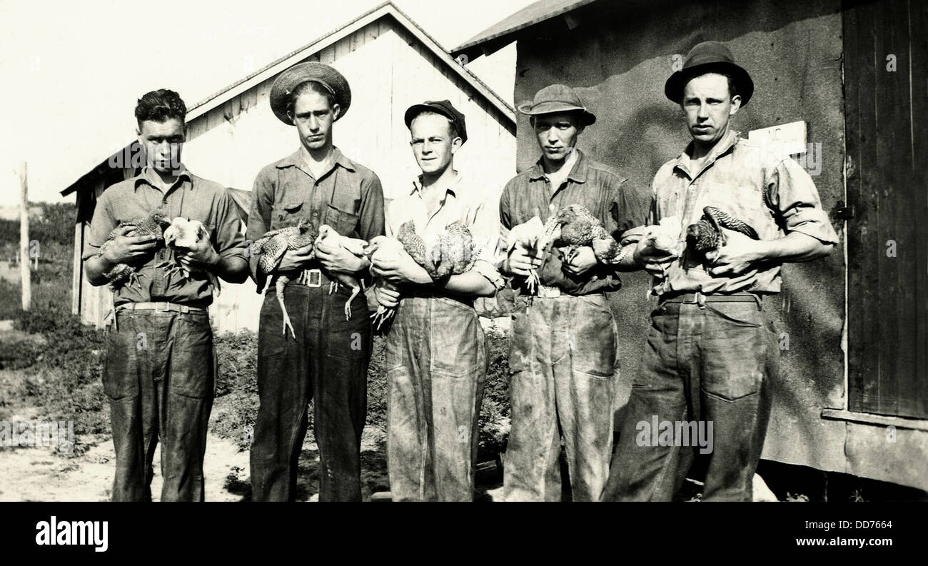 Civilian Conservation Corps (CCC) en Jonesville, Virginia, ca. 1935. Los jóvenes hombres de empresa CCC 2380 están en la cría de aves de corral Foto de stock