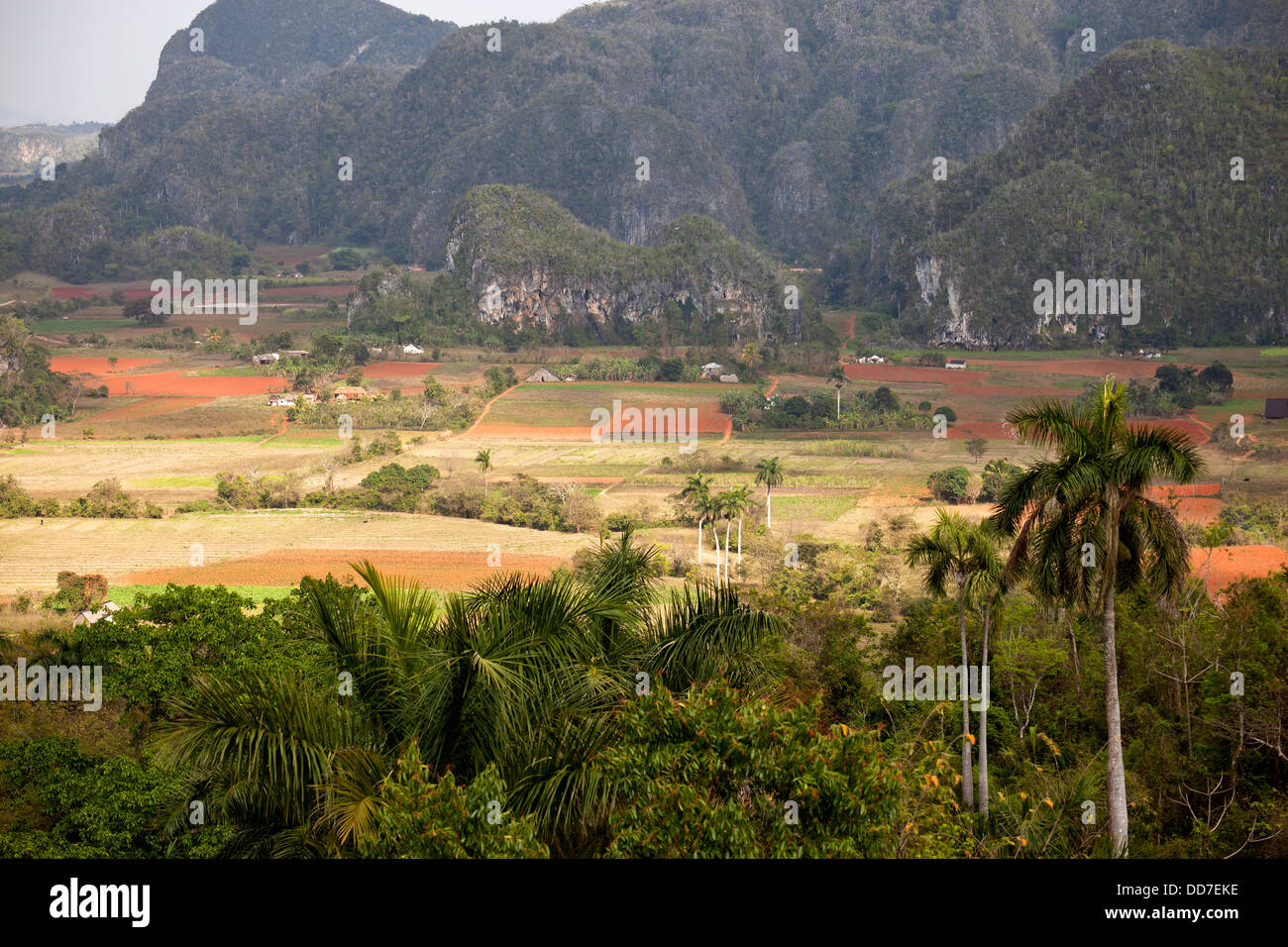Paisaje cárstico con campos de tabaco en el Valle de Viñales, Viñales, Pinar del Río, Cuba, El Caribe Foto de stock