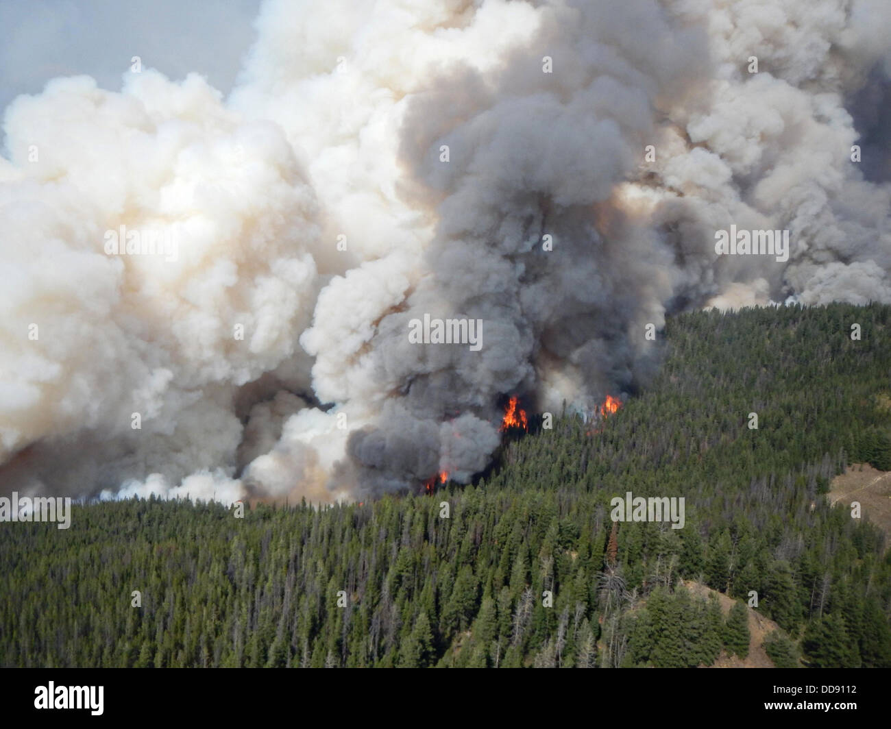 Vista aérea de las llamas y el humo del pan de oro fuego ardiendo en el Bosque Nacional Bitterroot, 16 de julio de 2013 cerca de Conner, MT. Foto de stock