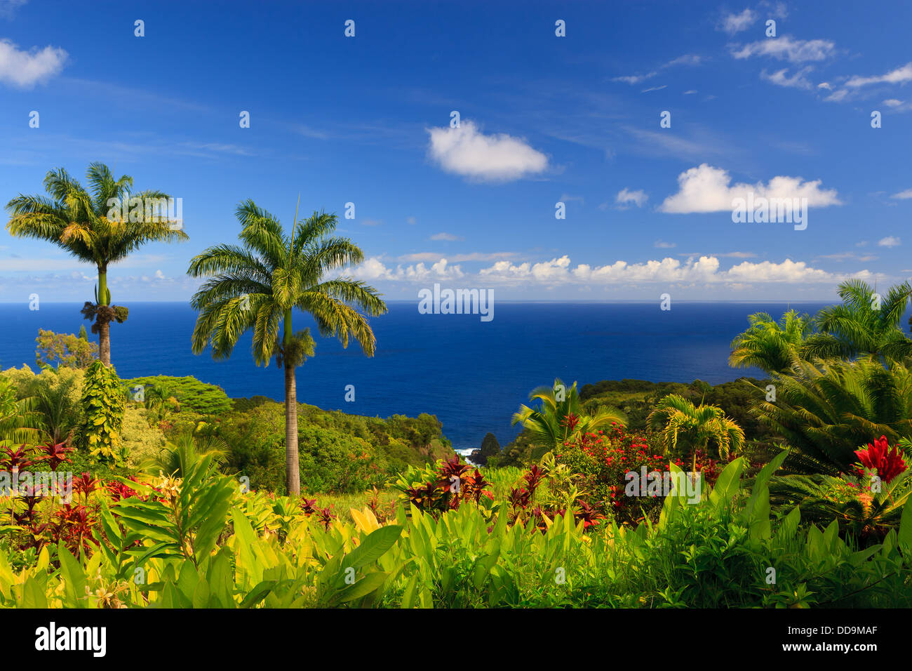 Vista al mar desde el Jardín del Edén, Maui, Hawai Foto de stock