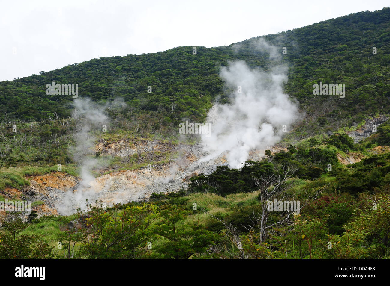 En Hakone Owakudani, Japón Foto de stock