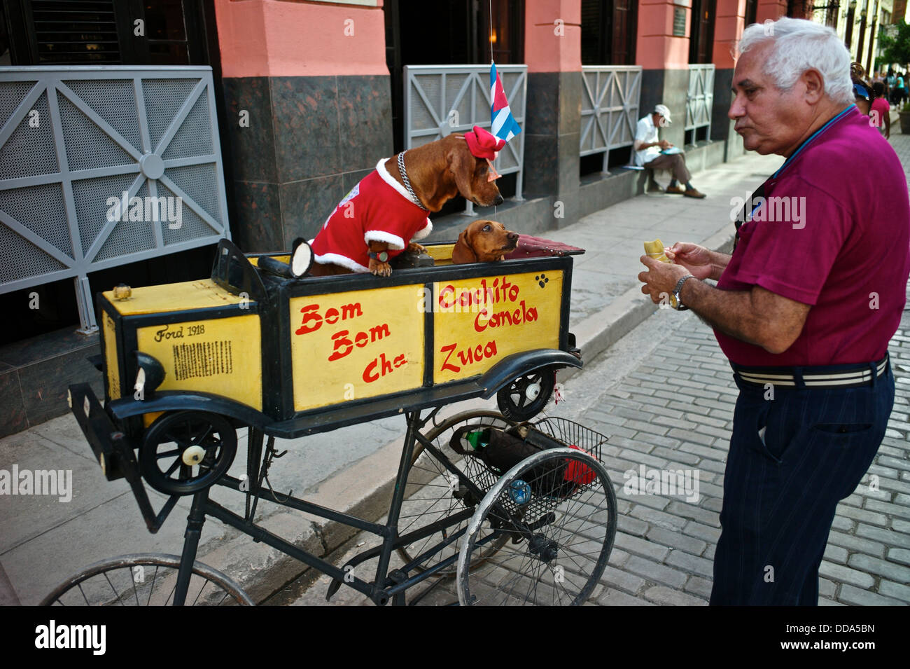 Perros en la calle fotografías e imágenes de alta resolución - Alamy