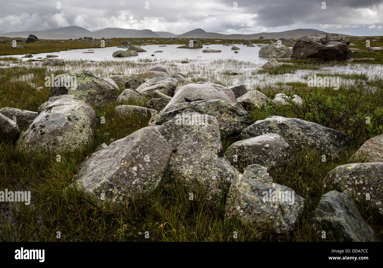 Lago poco profundo y rocas húmedas en la meseta Valdresflye Parque Nacional Jotunheimen Noruega Foto de stock