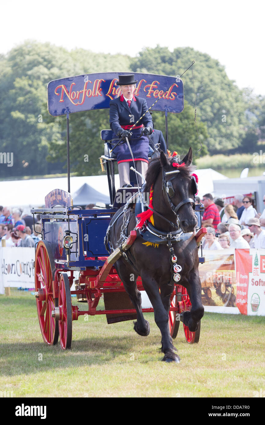 Un carro de alimentación tradicionales y Shire Horse actuando en un show de condado en Inglaterra Foto de stock