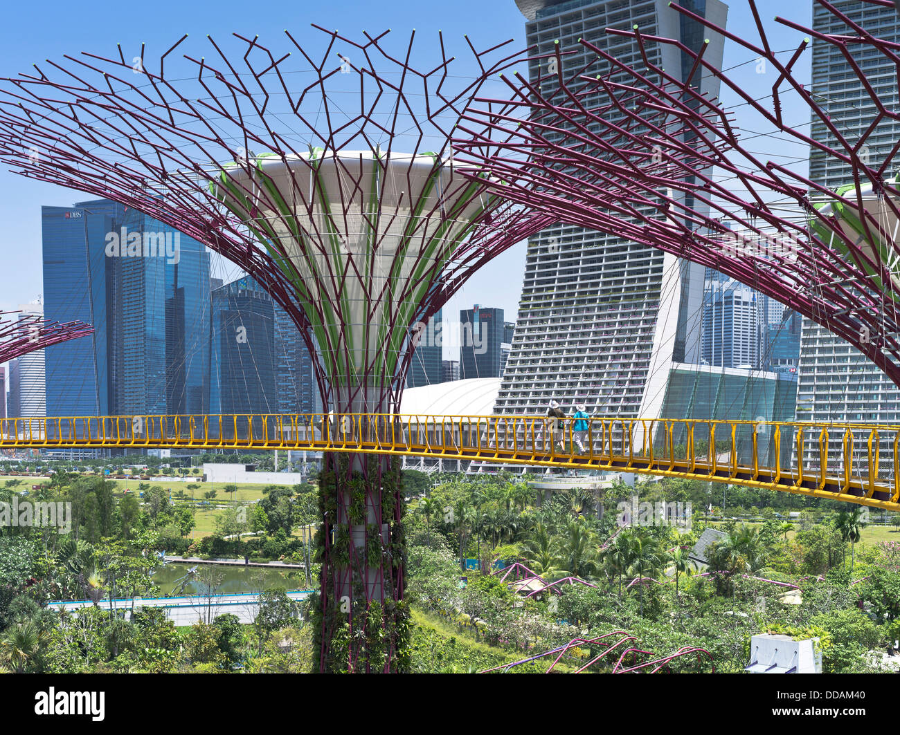 dh Supertree Grove jardines pasarela POR LA BAHÍA SINGAPUR Supertrees jardín vertical pareja gente caminar Skyway turistas turismo ciudad Foto de stock