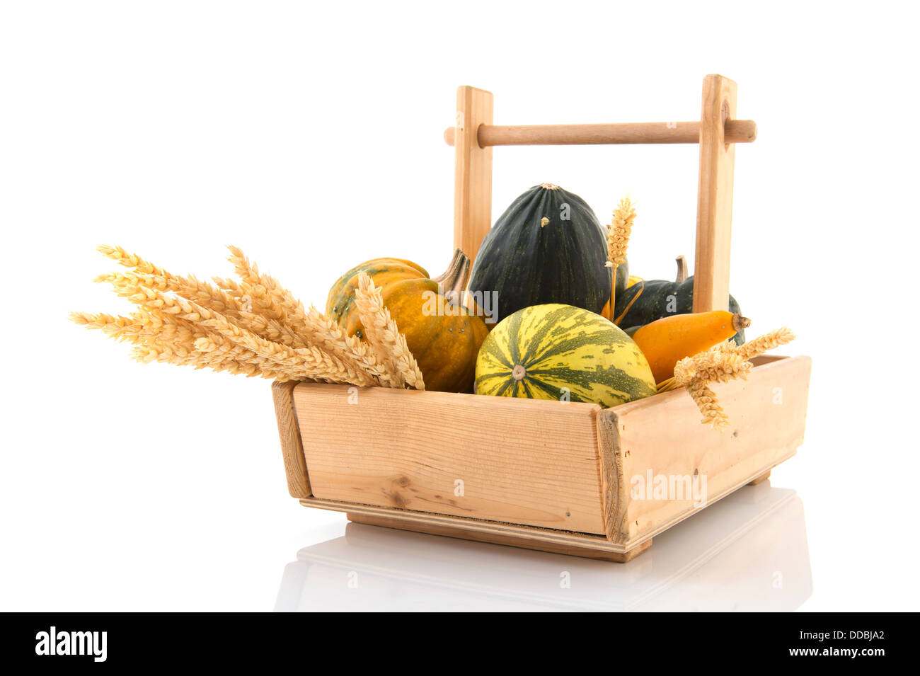 Nobody gourds dried fotografías e imágenes de alta resolución - Alamy