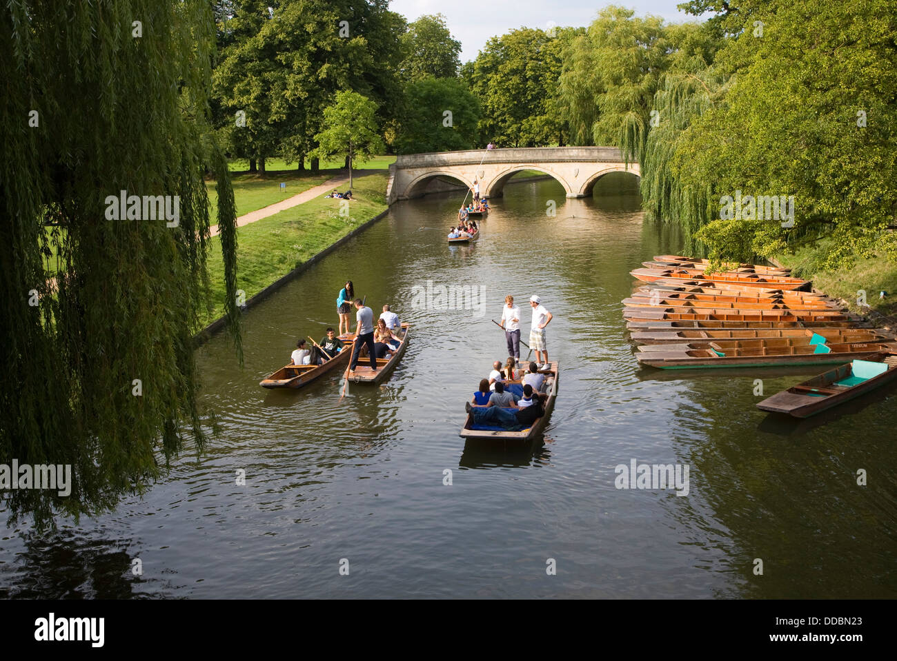 Río Cam personas remar Cambridge Inglaterra Foto de stock