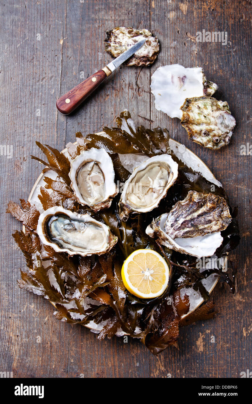 Abra oyster Super Speciale con algas marinas y hielo sobre fondo de madera Foto de stock