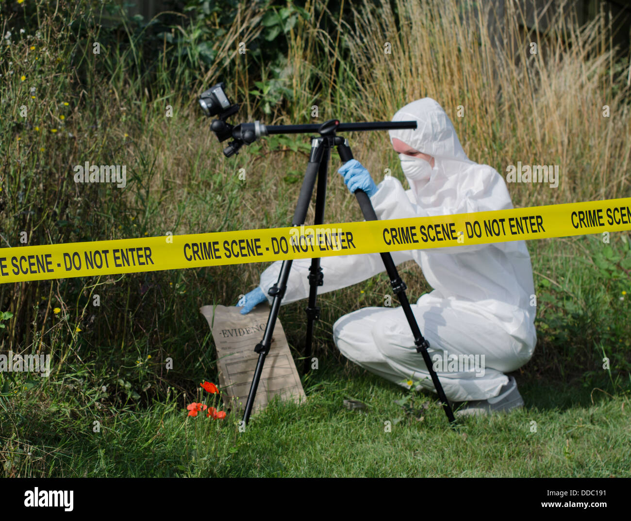 Científico Forense, buscando evidencia detrás de una barrera de la escena del crimen Foto de stock