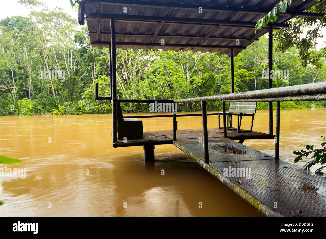 Dock para canoas turísticas en un río amazónico en Ecuador Foto de stock