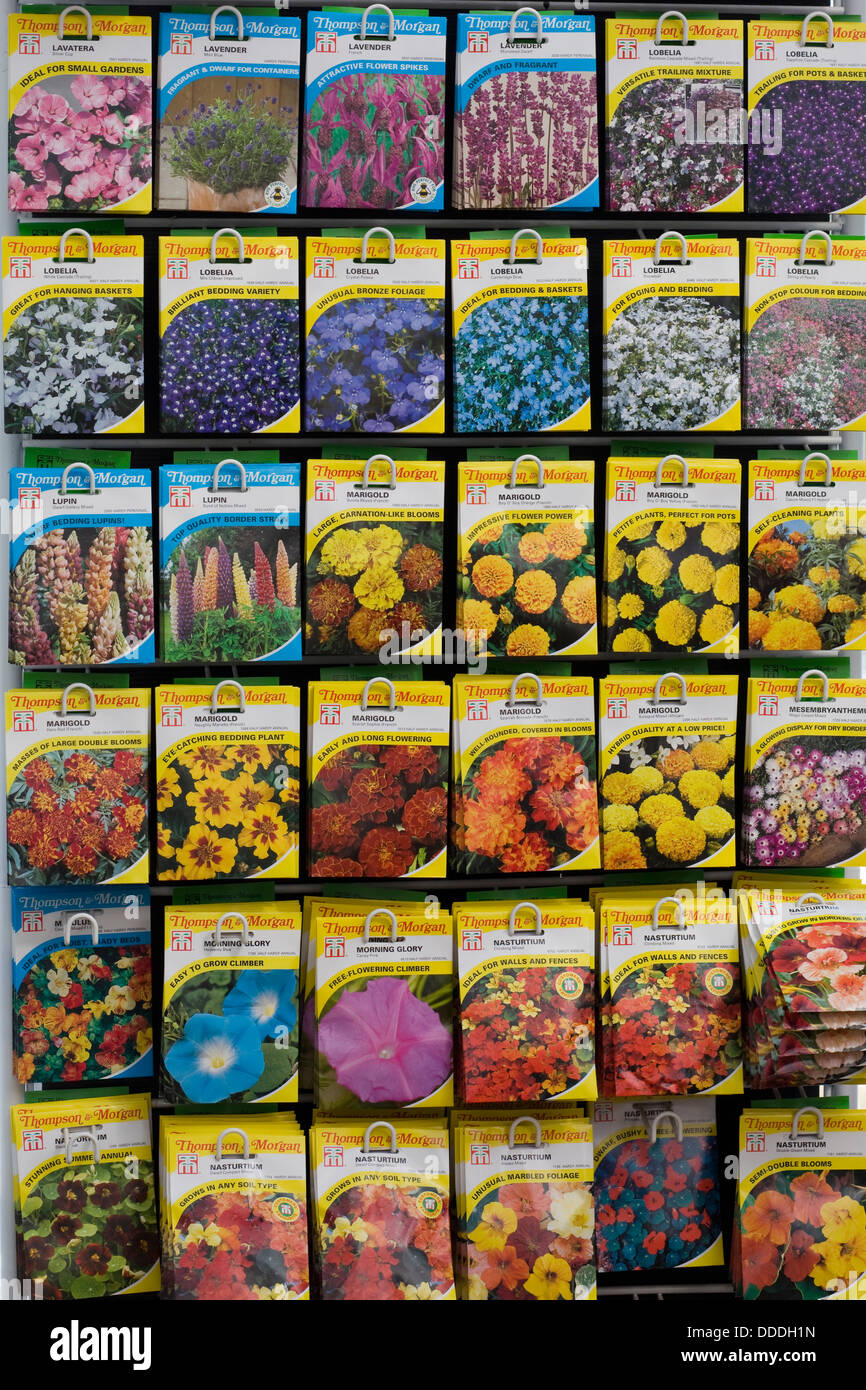Paquetes de Thompson & Morgan Semillas de flores para la venta Foto de stock