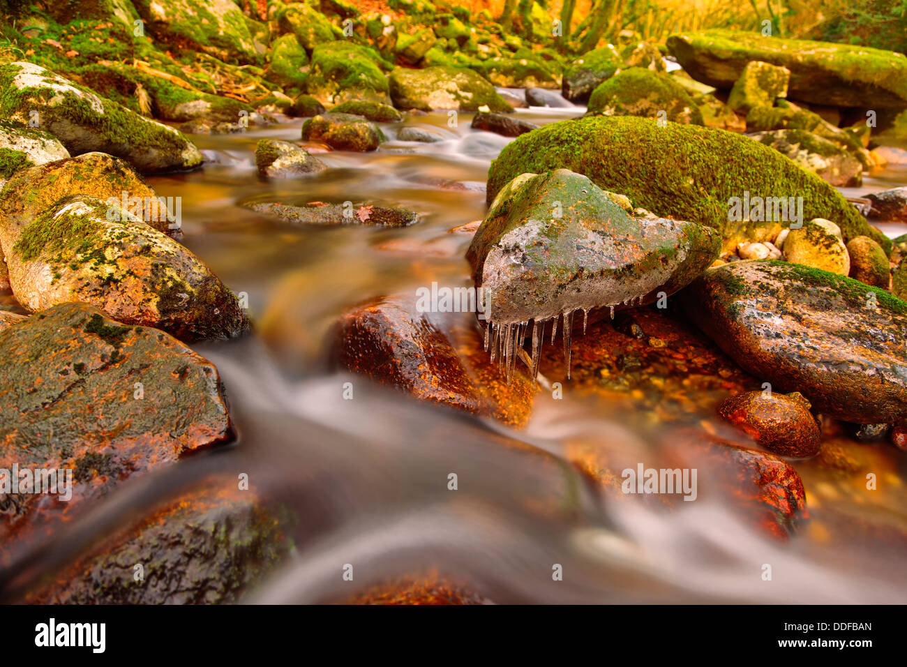 Río de Dartmoor Foto de stock