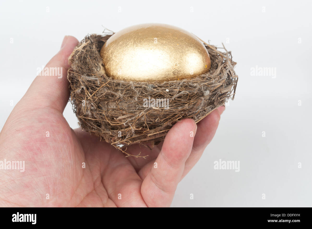 Entrega de huevo de oro en el nido de pájaro Foto de stock
