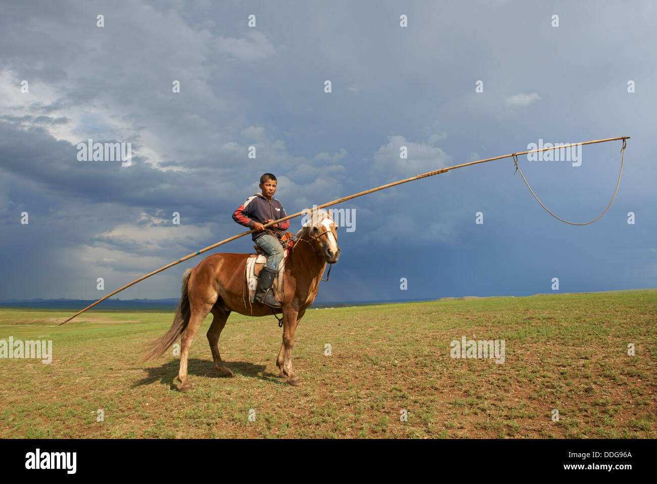 Mongolia, Tov provincia, nómada, jinete con urga Foto de stock