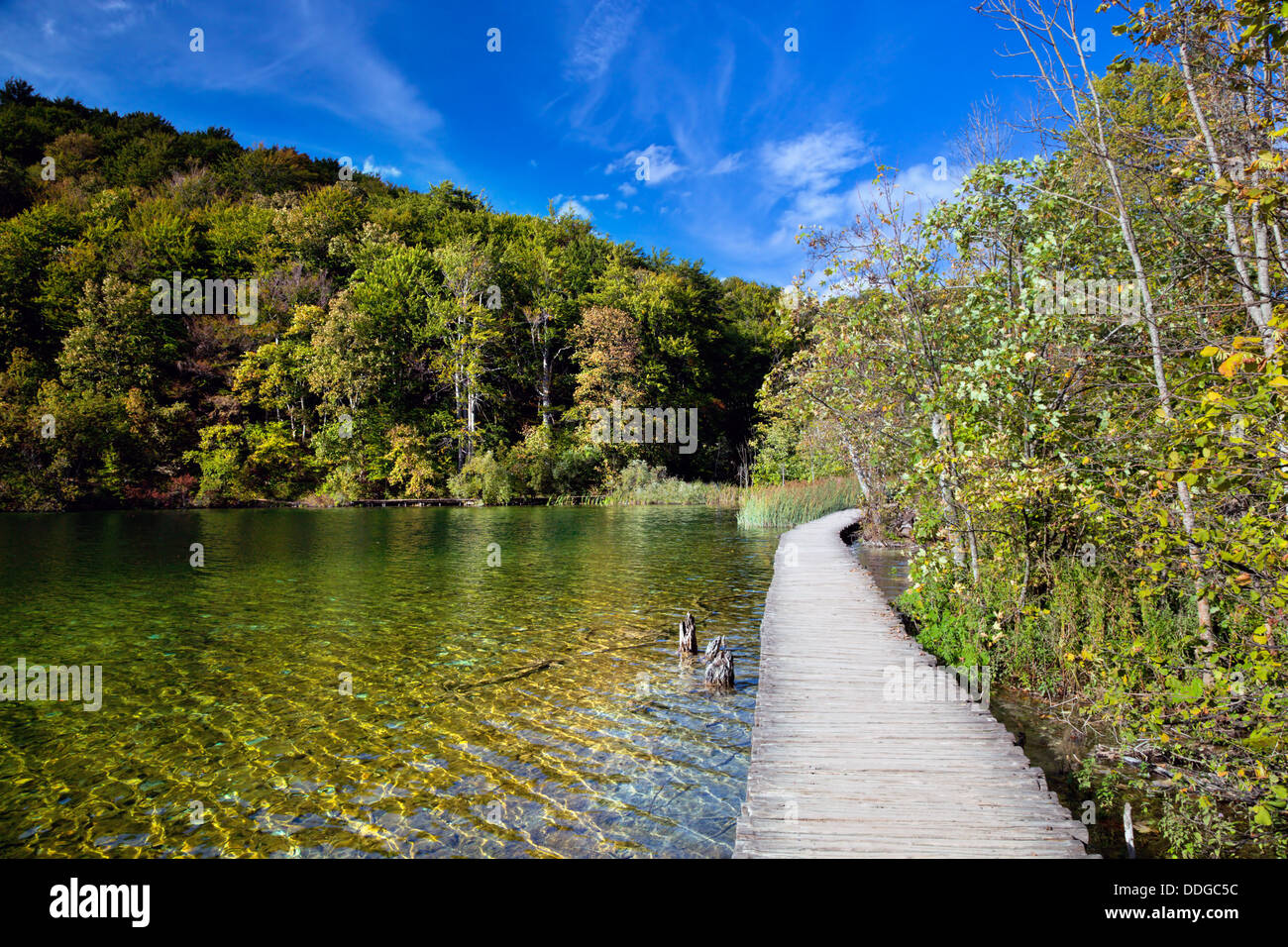 Lago en el bosque. El agua cristalina. Parque Nacional de los Lagos de Plitvice, Croacia Foto de stock