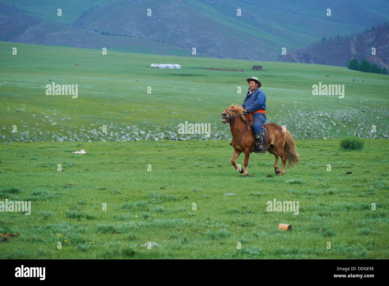 Mongolia, provincia, valle de Okhon Ovorkhangai, Nomad jinete Foto de stock