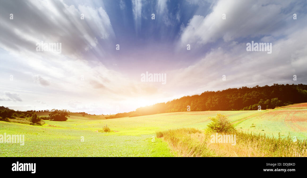 Paisaje de verano con la puesta del sol Foto de stock