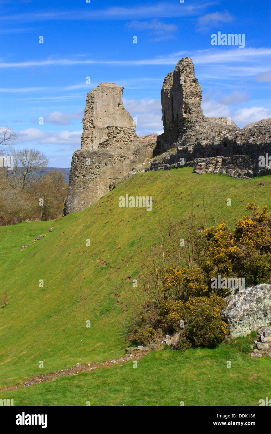 Ruinas del castillo de Montgomery, Montgomery, Powys, Gales. De abril. Foto de stock