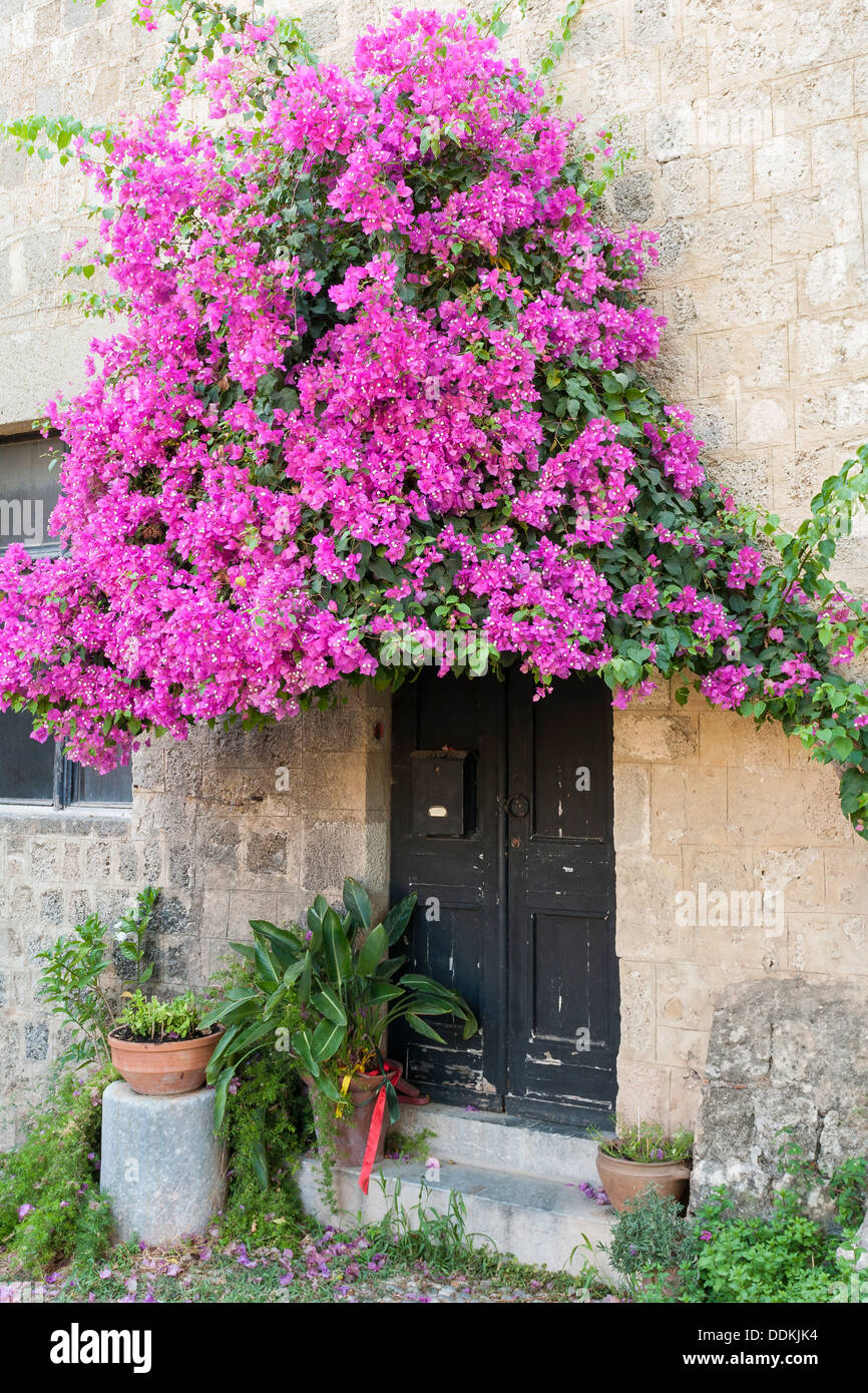 Calle en la ciudad medieval de Rodas flores sobre la puerta Foto de stock