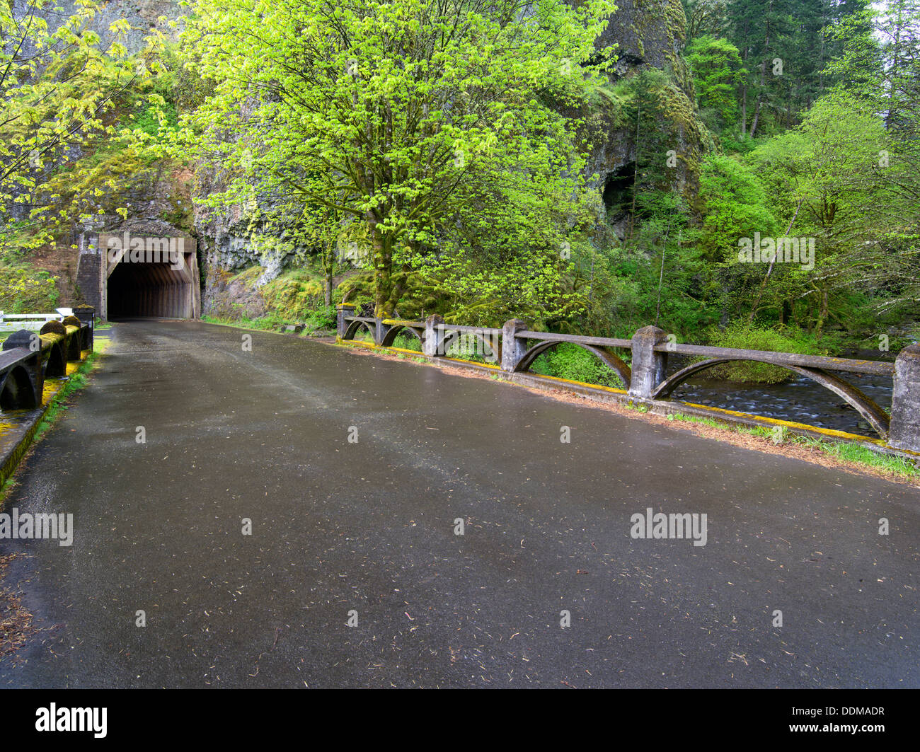 Old Columbia River Higghway y túnel. Columbia River Gorge National Scenic Area. Oregon Foto de stock