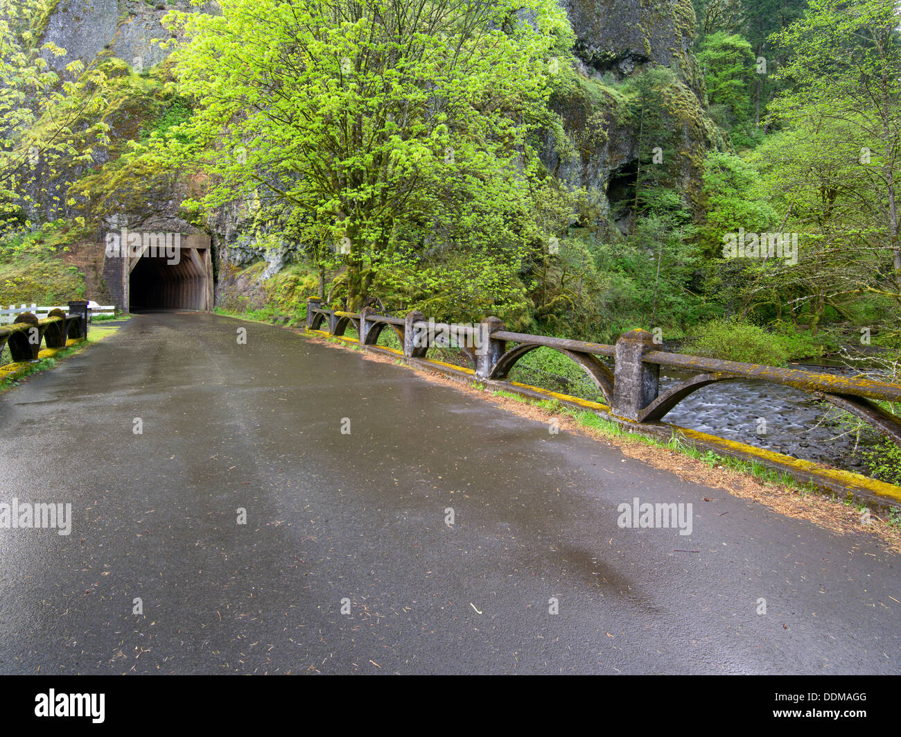 Old Columbia River Highway y túnel. Columbia River Gorge National Scenic Area. Oregon Foto de stock
