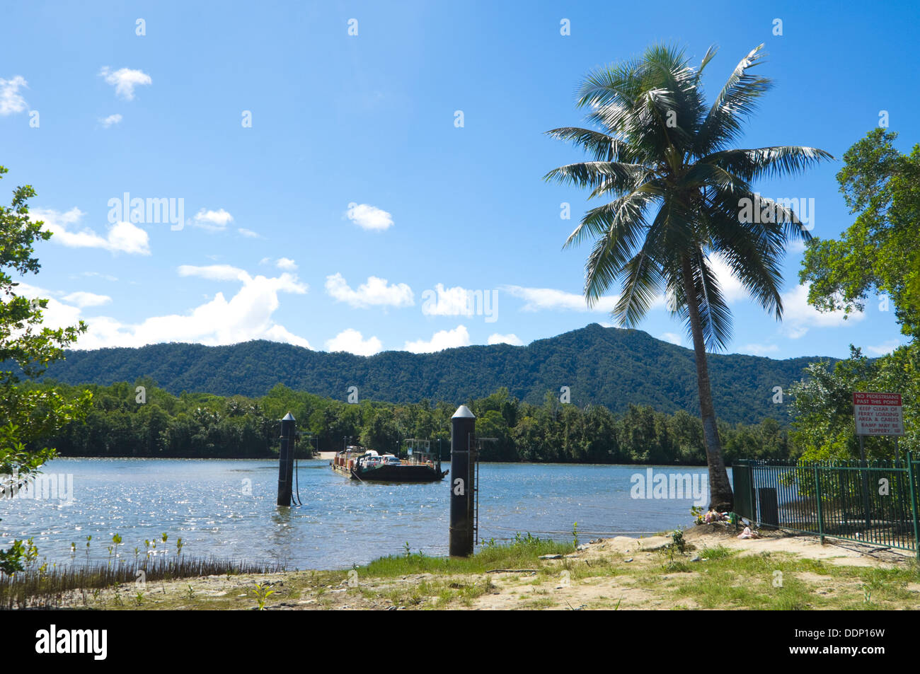 Cable Río Daintree Ferry, Far North Queensland, FNQ, Queensland, Australia Foto de stock