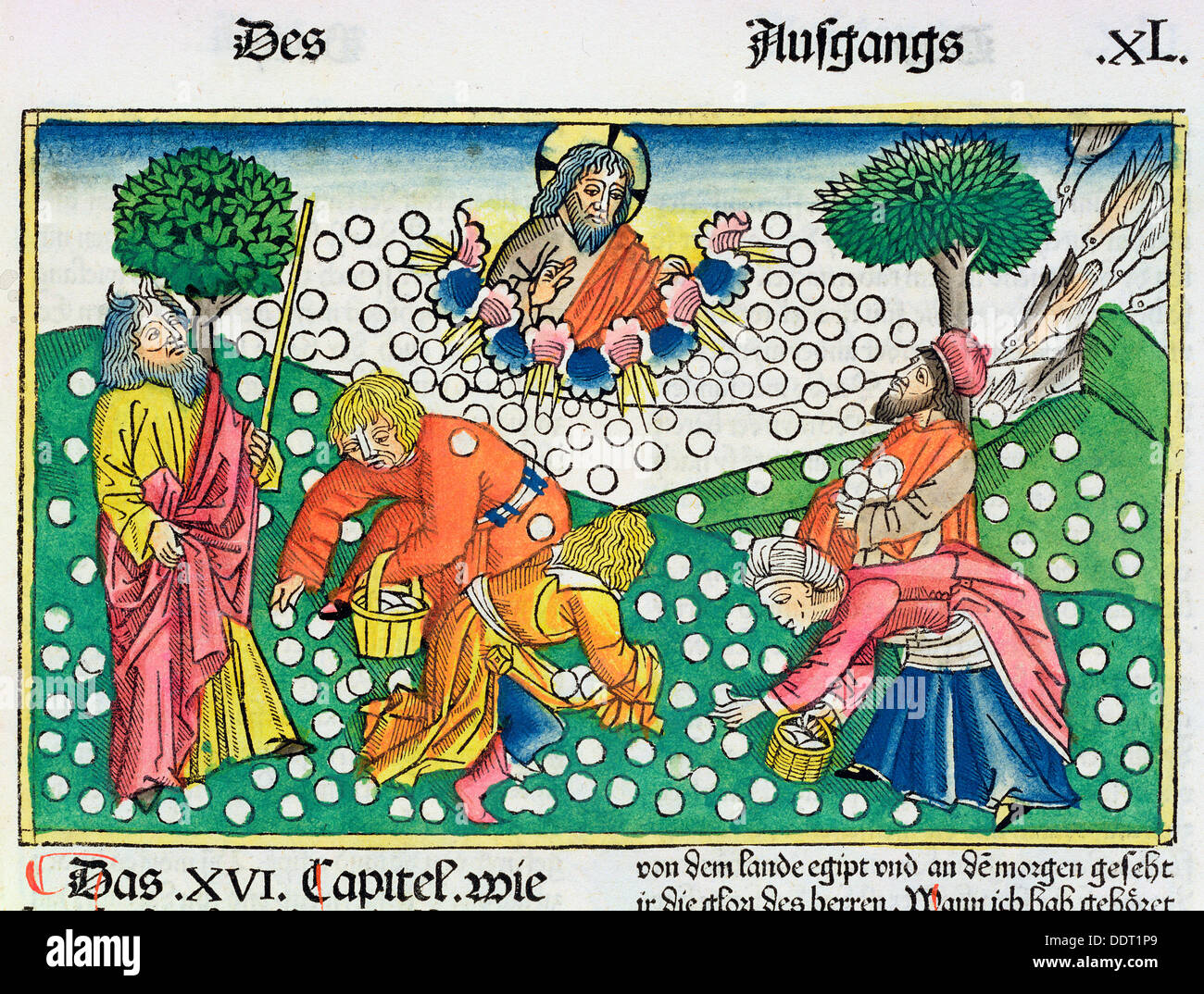 Éxodo 161322 Dios provee las codornices y el Maná para los