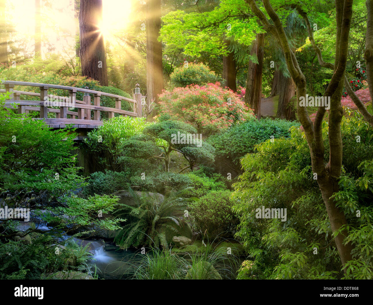 Puente y arroyo. En el jardín japonés de Portland, Oregón Foto de stock