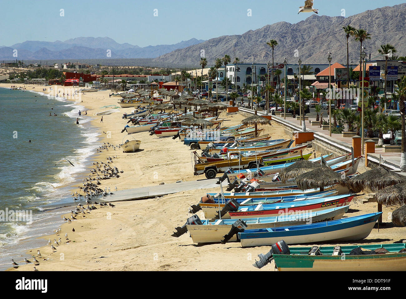 San felipe baja fotografías e imágenes de alta resolución Alamy