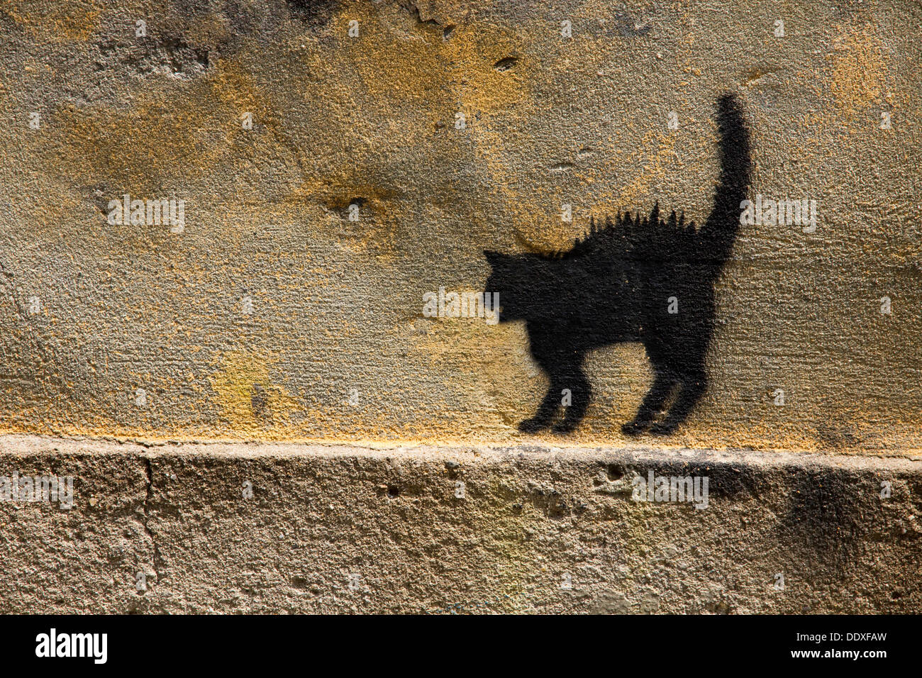 Esbozo de gato pintado sobre la pared rugosa en street, Porto, Portugal  Fotografía de stock - Alamy