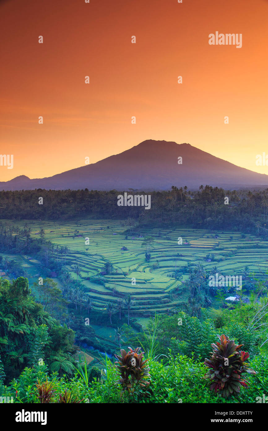Indonesia, Bali, Redang, vista de las terrazas de arroz y el Volcán Gunung Agung Foto de stock