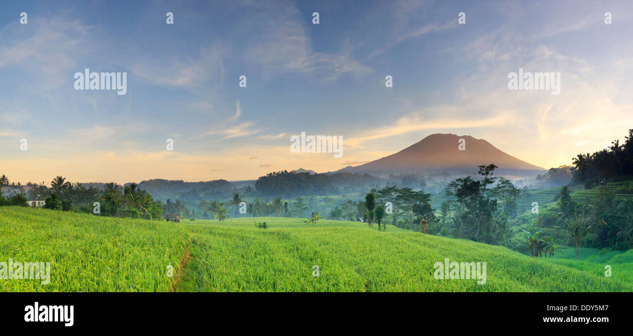 Indonesia, Bali, Valle Sidemen, Iseh, campos de arroz y el Volcán Gunung Agung Foto de stock