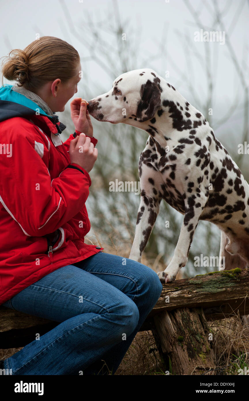 Young woman dalmatian dog fotografías e imágenes de alta resolución - Alamy