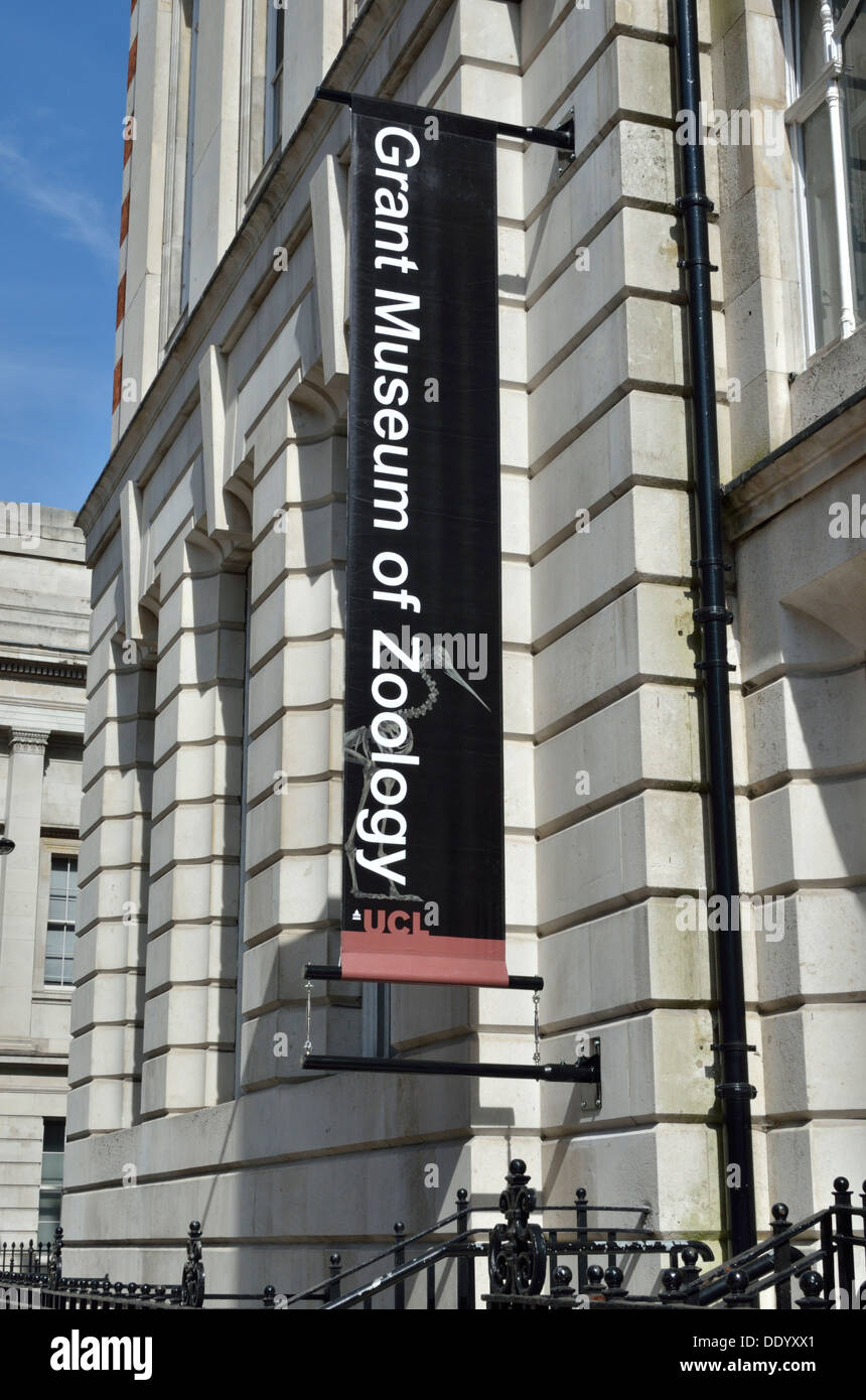 Conceder el Museo de Zoología de la Universidad Street, Bloomsbury, Londres, Reino Unido. Foto de stock