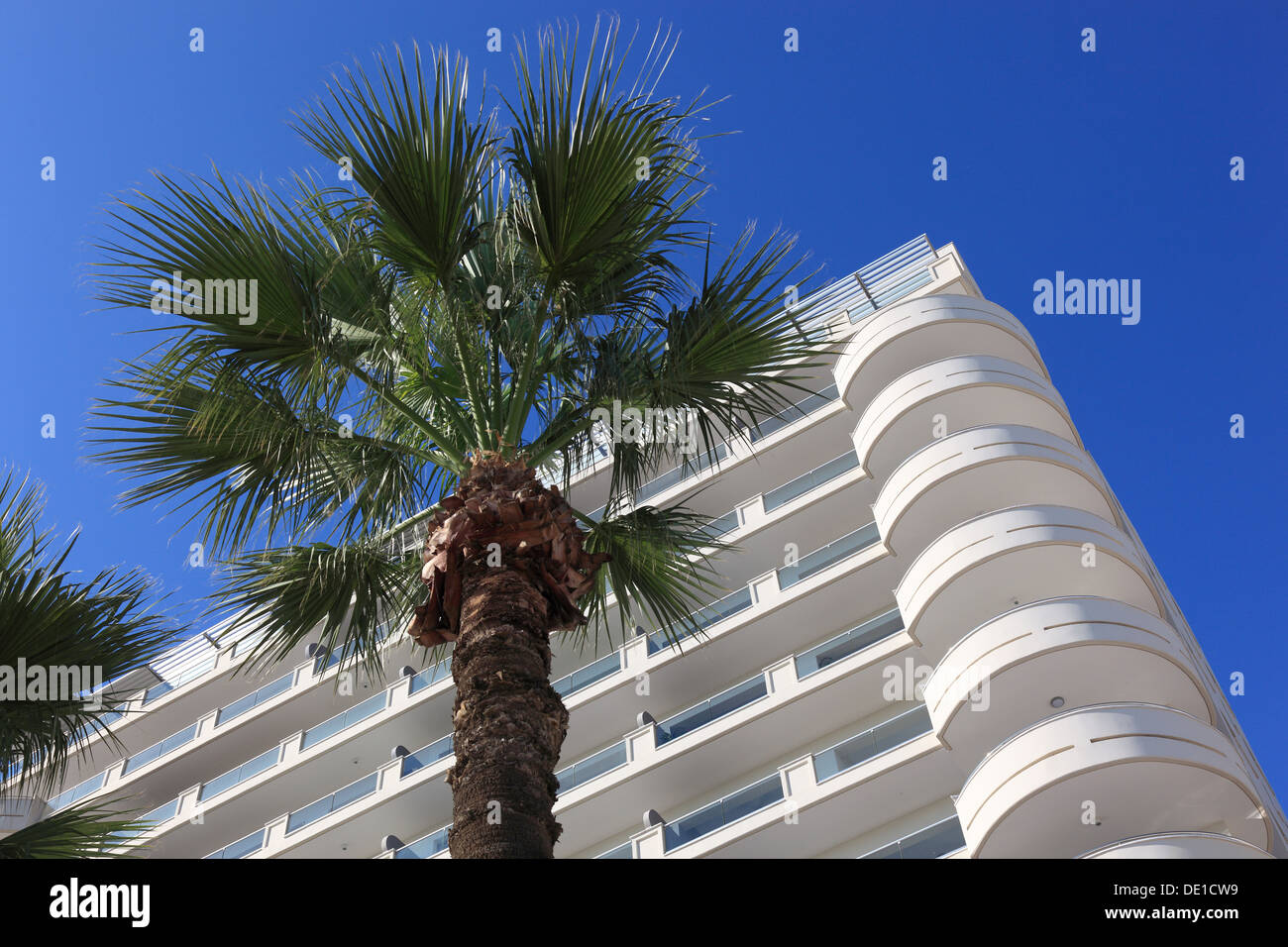 Chipre, Larnaca, hoteles, edificios residenciales, palmeras Foto de stock