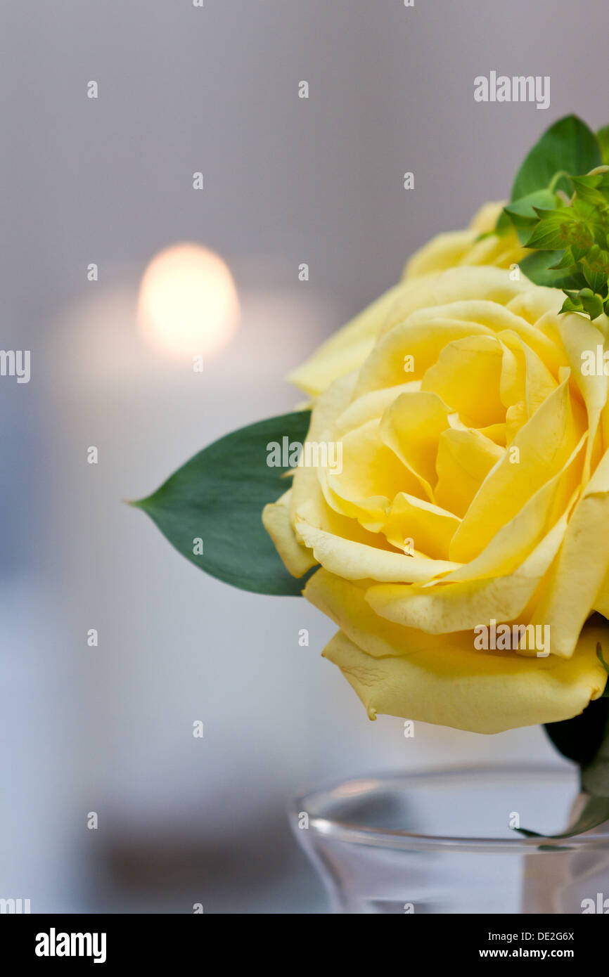 Primer plano de rosas amarillas como un centro con una vela en el fondo  Fotografía de stock - Alamy