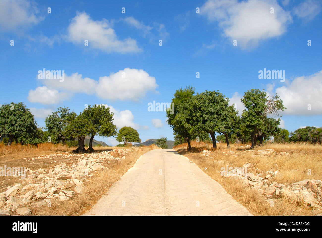 Camino del algarrobo fotografías e imágenes de alta resolución - Alamy