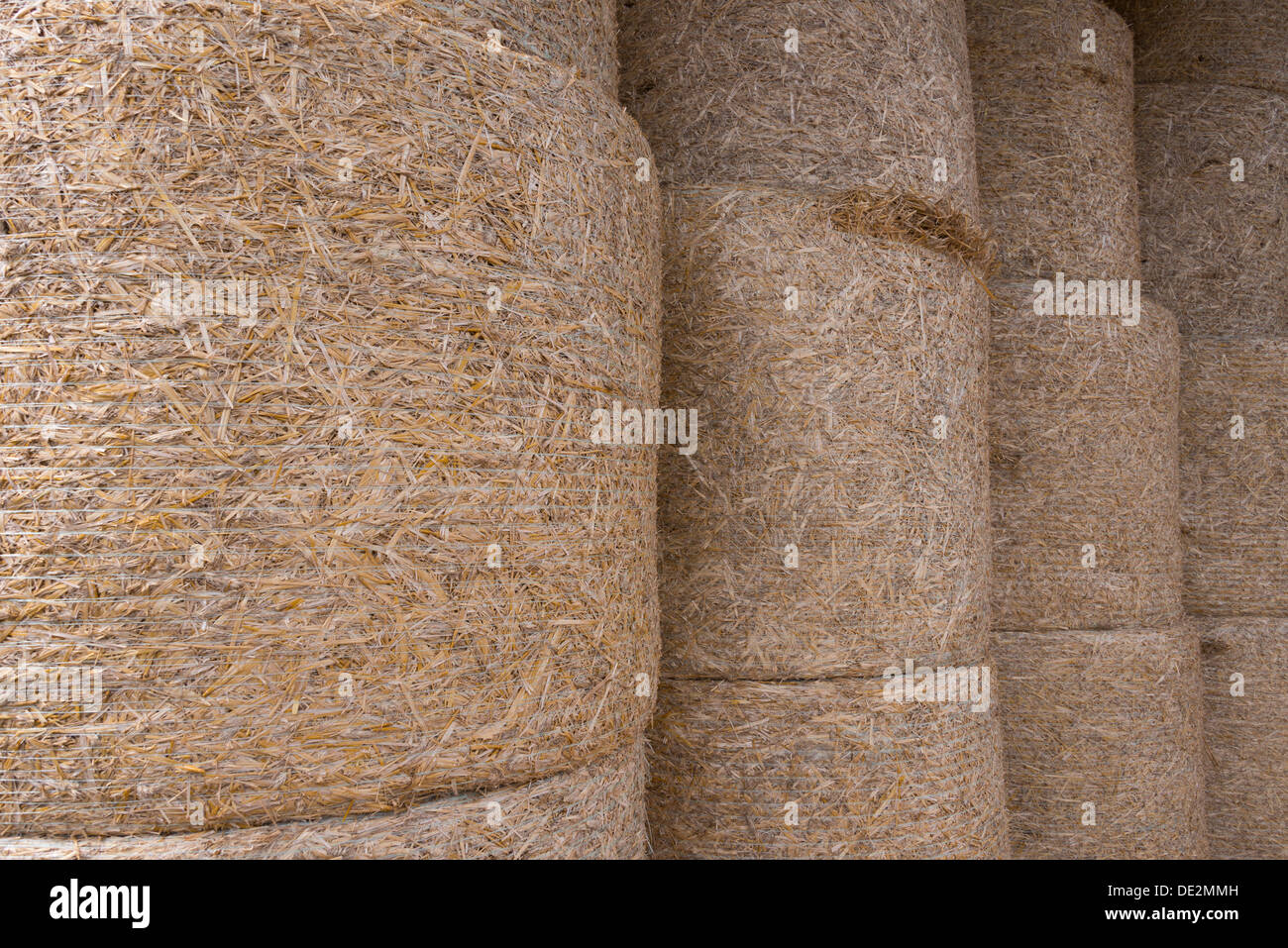 Los fardos de heno en la zona de Borgoña, Francia Foto de stock