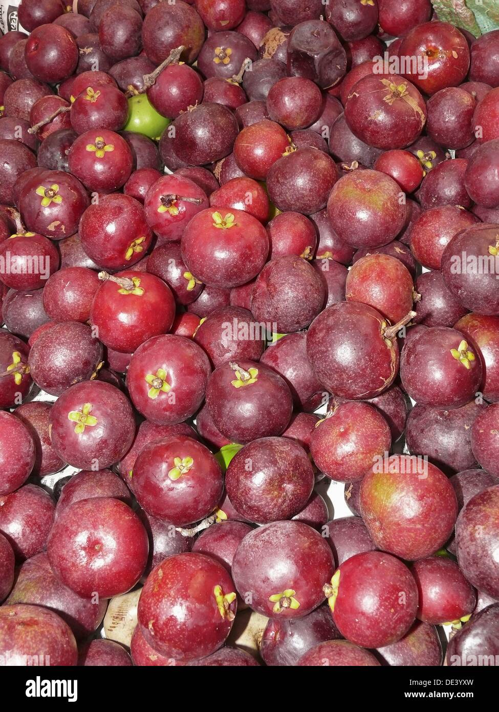 Kokam Frutas, Garcinia indica Foto de stock