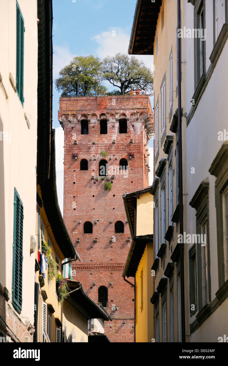 Árbol de torre rematada la Torre Guinigi se eleva por encima de la Via Sant'Andrea en la ciudad medieval de Lucca, Toscana, Italia Foto de stock