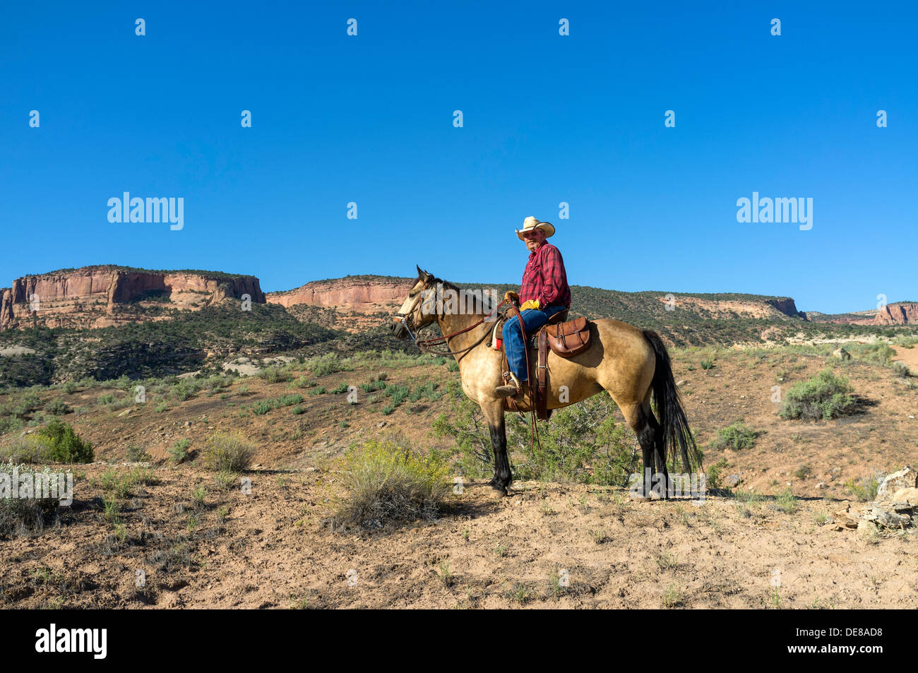 Hoy en día montar a caballo vaquero en su caballo en el desierto cerca del Monumento Nacional de Colorado, Colorado, EE.UU. Foto de stock