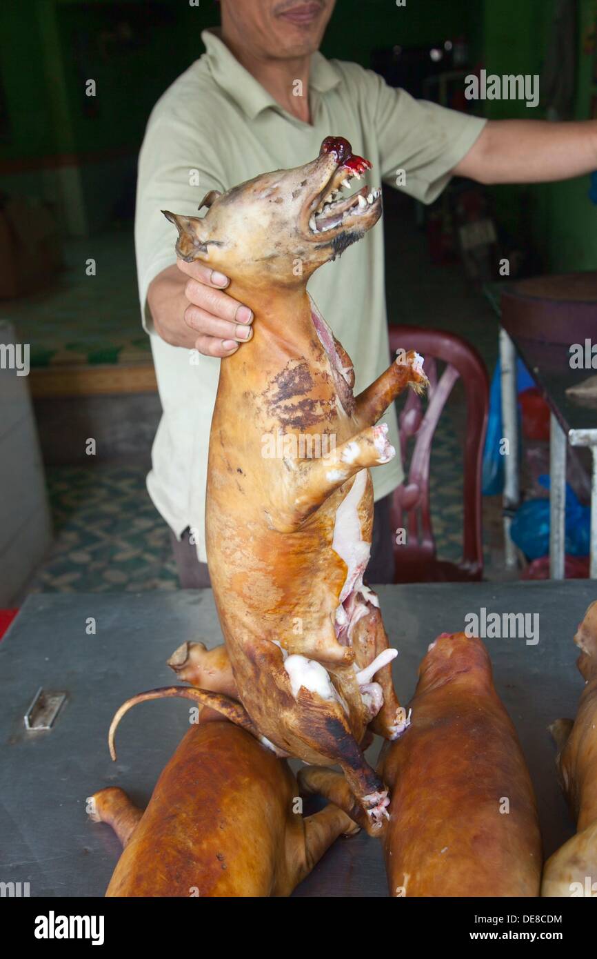 Glorioso pálido evitar Venta de carne de perro. Hanoi. Vietnam Fotografía de stock - Alamy