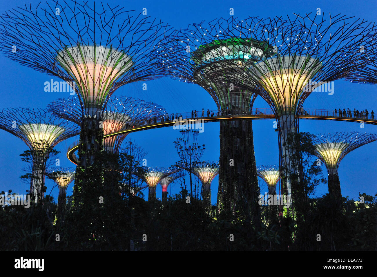 Atracciones turísticas de Singapur - Supertrees en jardines junto a la bahía Foto de stock